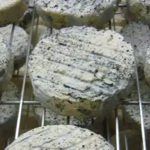 Chèvre : Petit Gris "Chèvrerie de la Tuilerie"