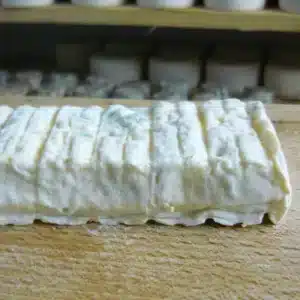 Chèvre : Tuile "Chèvrerie de la Tuilerie"