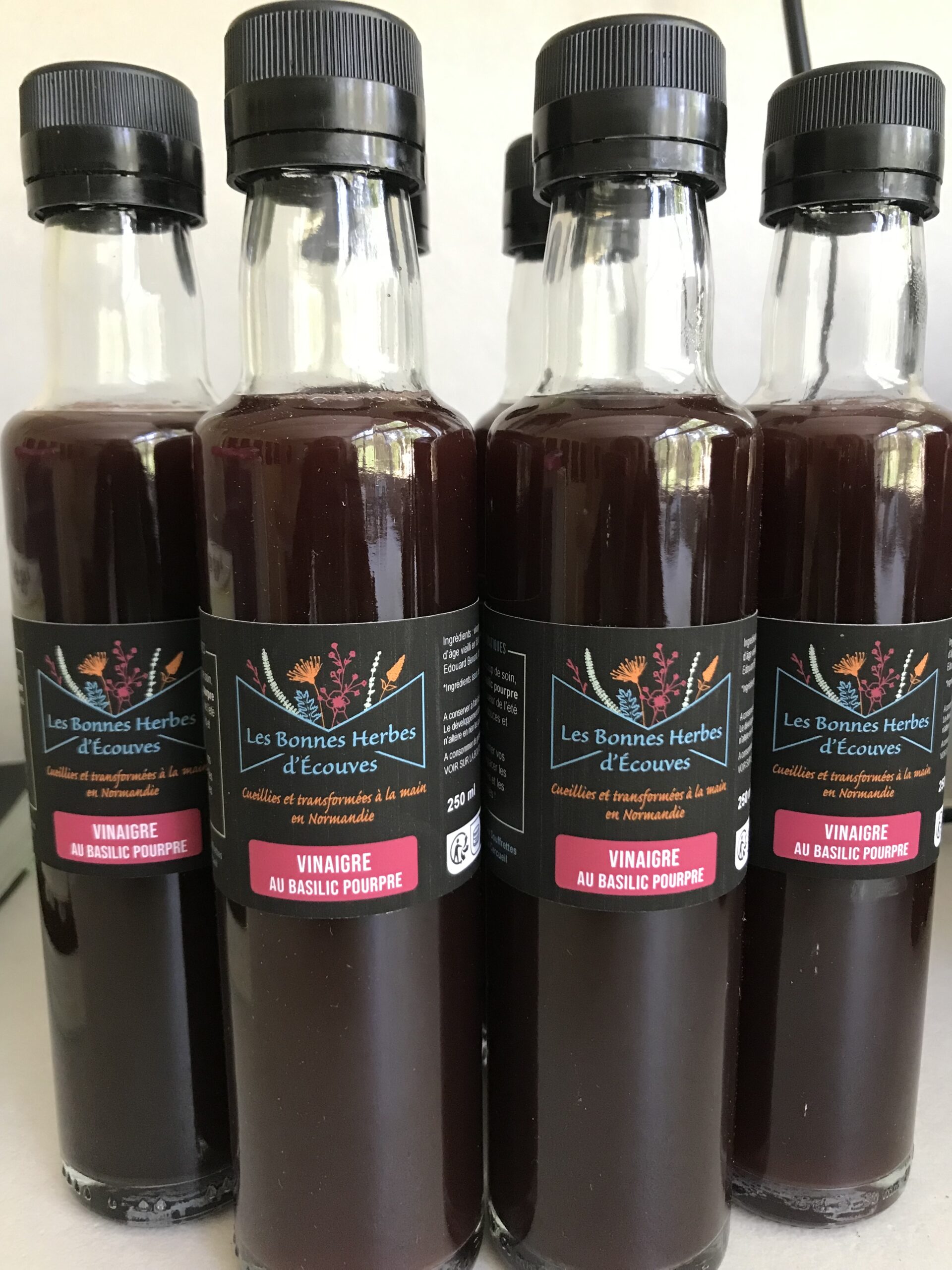 Vinaigre de Cidre Infusé au Basilic Pourpre 250 ml