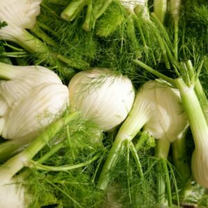 Fenouil – 1kg "Les Légumes du Désert"