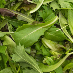 Mesclun – 100 g "Les Légumes du Désert"