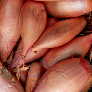Échalote – 100 g