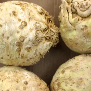 Céleri rave – 1 kg