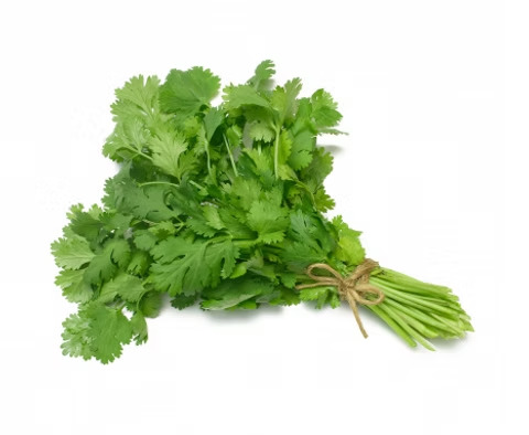 Coriandre fraîche au bouquet "Les Légumes du Désert"