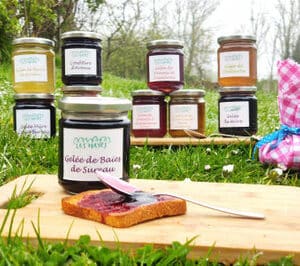 Confiture de Figue BIO - 220g "La forêt jardin des Hayes"