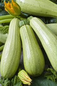 Courgette blanche 1kg "Les Légumes du Désert"