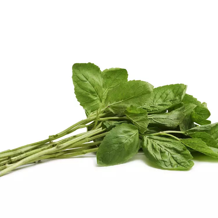 Basilic au bouquet "Les Légumes du Désert"