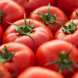 Tomate ronde rouge – 1 kg "Les Légumes du Désert"