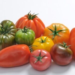 Tomate ancienne – 1 kg "Les Légumes du Désert"