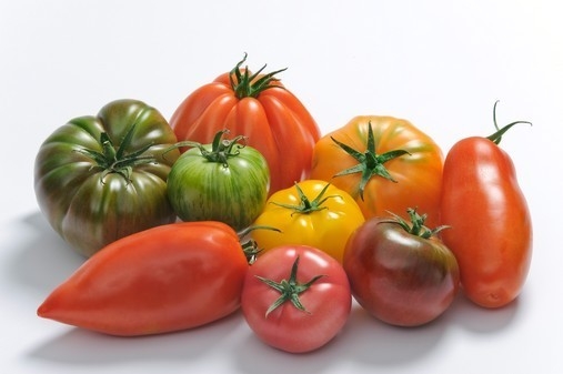 Tomate ancienne – 1 kg "Les Légumes du Désert"