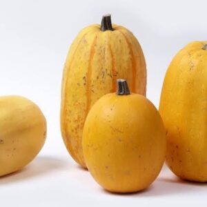 Courge Spaghetti – À la pièce "Les Légumes du Désert"